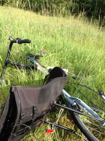 photo-8